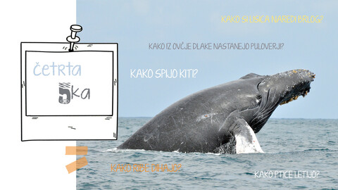 fa fa-youtube-play fa-4x