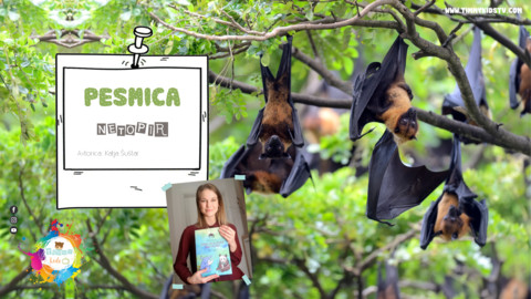 fa fa-youtube-play fa-4x