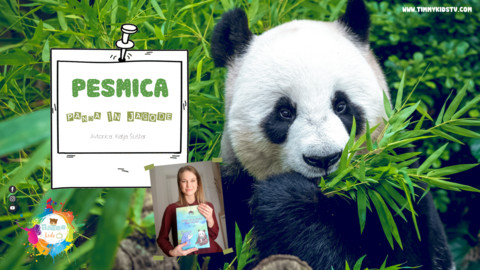 fa fa-youtube-play fa-4x