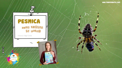 fa fa-youtube-play fa-4x